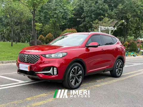 2021 Great Wall WEY VV6 2.0T Two-Wheel Drive Smart Plus - ავტომობილი ჩინეთიდან