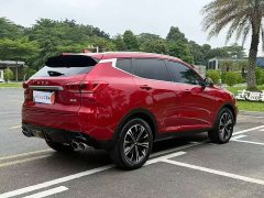 Great Wall WEY VV6 2.0T Two-Wheel Drive Smart Plus - ფოტო 9