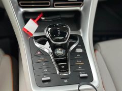 BYD Song Pro New Energy DM-i 51km Premium - ფოტო 14