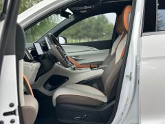 BYD Song Pro New Energy DM-i 51km Premium - ფოტო 5