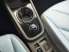 Chery Ant 251km True Love Edition LFP Battery - ფოტო 13