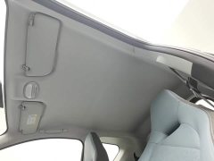 Chery Ant 251km True Love Edition LFP Battery - ფოტო 14