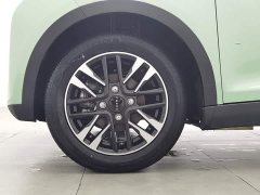 Chery Ant 251km True Love Edition LFP Battery - ფოტო 17