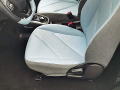 Chery Ant 251km True Love Edition LFP Battery - ფოტო 20
