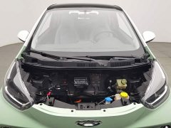 Chery Ant 251km True Love Edition LFP Battery - ფოტო 6