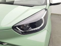 Chery Ant 251km True Love Edition LFP Battery - ფოტო 7