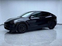 Tesla Model Y Rear-Wheel Drive - ფოტო 1