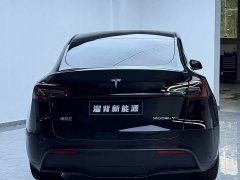 Tesla Model Y Rear-Wheel Drive - ფოტო 15