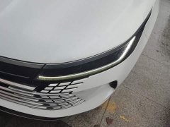 BYD Destroyer 05 2023 Champion Edition DM-i 55KM Distinguished - ფოტო 5