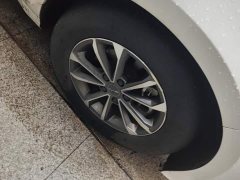 BYD Destroyer 05 2023 Champion Edition DM-i 55KM Distinguished - ფოტო 6