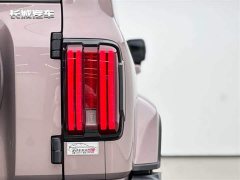 Tank 300 City Edition 2.0T Stylish - ფოტო 16