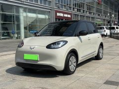 Wuling Binguo 2023 203km Light Enjoy Edition - ფოტო 1