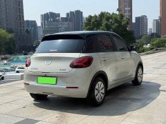 Wuling Binguo 2023 203km Light Enjoy Edition - ფოტო 10