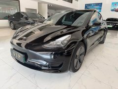 Tesla Model 3 Rear-Wheel Drive - ფოტო 1