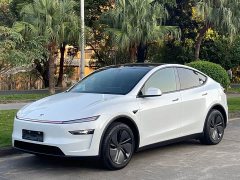 Tesla Model Y Long Range Rear-Wheel Drive - ფოტო 1