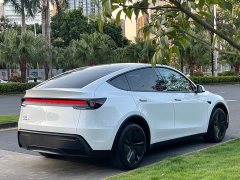 Tesla Model Y Long Range Rear-Wheel Drive - ფოტო 11