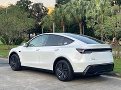 Tesla Model Y Long Range Rear-Wheel Drive - ფოტო 12