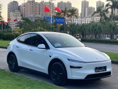 Tesla Model Y Long Range Rear-Wheel Drive - ფოტო 3