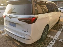 Buick GL8 ES Luxe Enjoyment Edition - ფოტო 3