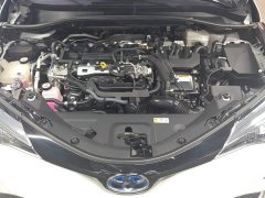 Toyota IZOA 2022 Hybrid 2.0L Yixing Edition - ფოტო 10