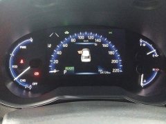 Toyota IZOA 2022 Hybrid 2.0L Yixing Edition - ფოტო 14