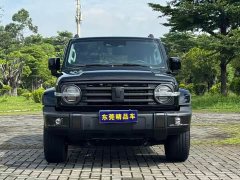 Tank 300 2021 City Edition 2.0T Stylish - ფოტო 2