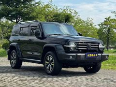 Tank 300 2021 City Edition 2.0T Stylish - ფოტო 3