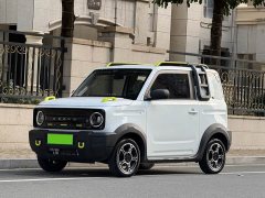 Geely Panda 210km Panda Knight - ფოტო 1
