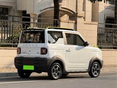 Geely Panda 210km Panda Knight - ფოტო 10