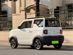 Geely Panda 210km Panda Knight - ფოტო 12