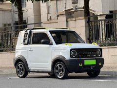Geely Panda 210km Panda Knight - ფოტო 3