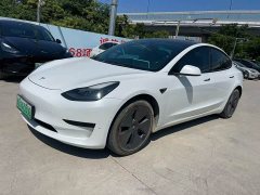 Tesla Model 3 Standard Range RWD Upgrade 3D6 - ფოტო 2