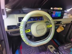 Geely Panda 2024 200km Panda Knight - ფოტო 12