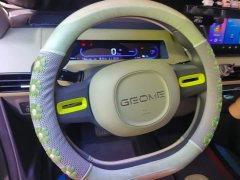 Geely Panda 2024 200km Panda Knight - ფოტო 15