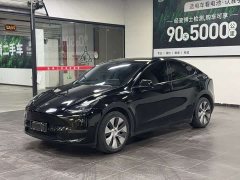 Tesla Model Y Long Range All-Wheel Drive - ფოტო 1