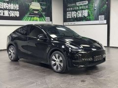 Tesla Model Y Long Range All-Wheel Drive - ფოტო 3