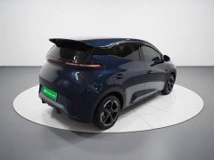 BYD Seagull Freedom Edition - ფოტო 4