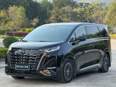 Denza D9 2022 DM-i 970 AWD Flagship - ფოტო 1
