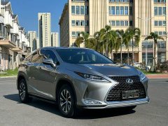 Lexus RX 2020 300 FWD Elite China VI - ფოტო 3