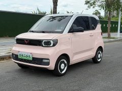 Wuling Hongguang MINIEV 2020 Deluxe Edition LFP Battery - ფოტო 1