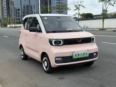 Wuling Hongguang MINIEV 2020 Deluxe Edition LFP Battery - ფოტო 3