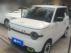 Geely Panda Mini 210km Vitality Edition - ფოტო 1