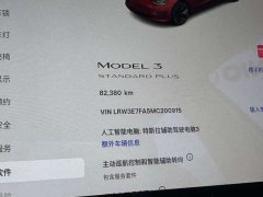 Tesla Model 3 Standard Range RWD Upgrade - ფოტო 12