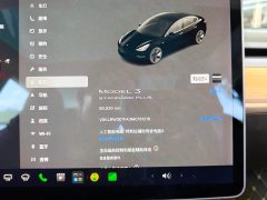 Tesla Model 3 Standard Range RWD Upgrade - ფოტო 10