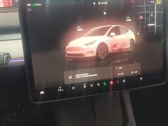 Tesla Model Y Long Range All-Wheel Drive - ფოტო 13
