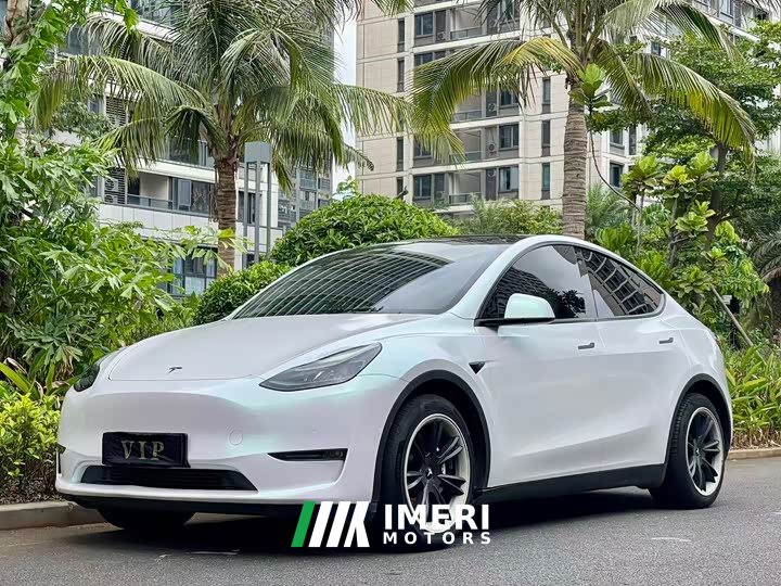 Tesla Model Y Standard Range RWD - ავტომობილი ჩინეთიდან