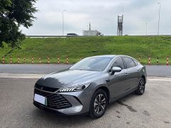 BYD Qin PLUS DM-i Smart Driving Edition 120KM Excellence - ფოტო 1