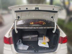 Volkswagen Santana 1.5L Manual Fashion Edition - ფოტო 20