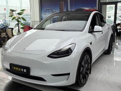 Tesla Model Y Performance All-Wheel Drive - ფოტო 1