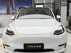 Tesla Model Y Performance All-Wheel Drive - ფოტო 2